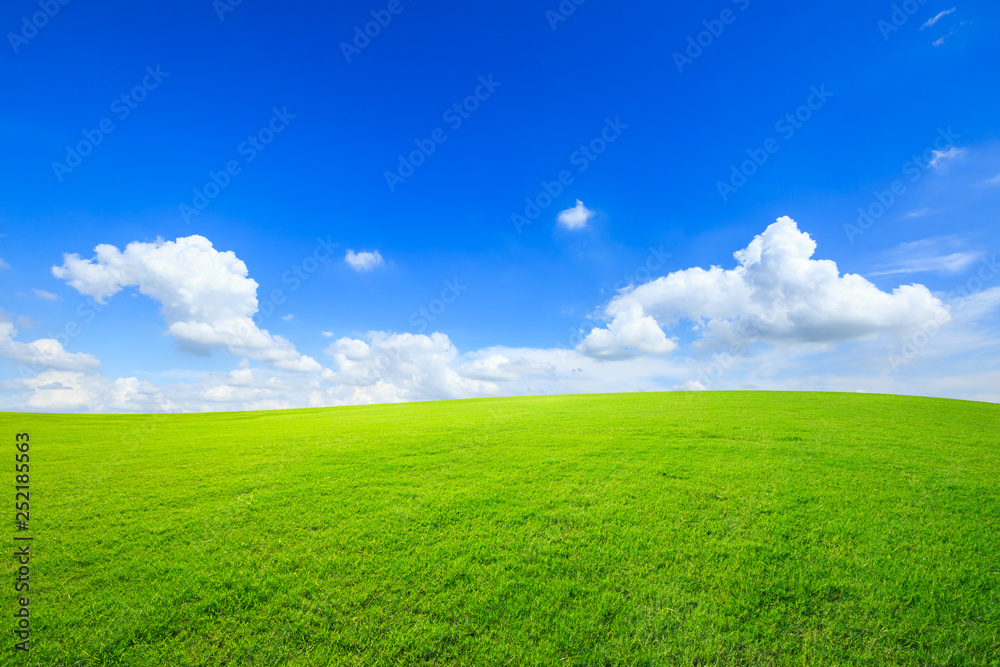 Green grass and blue sky with white clouds