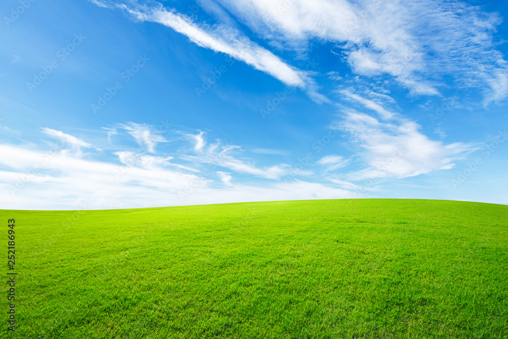 Green grass and blue sky with white clouds