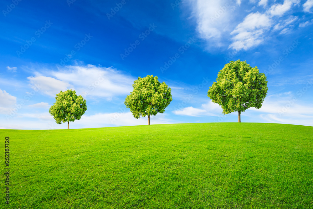 Green tree and grass field with white clouds