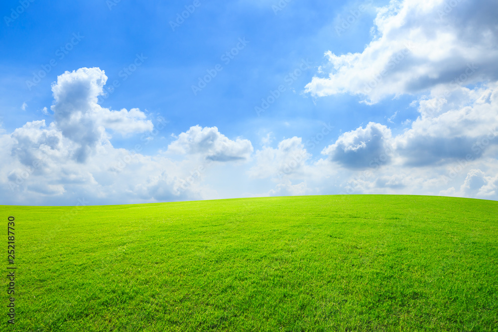 Green grass and blue sky with white clouds