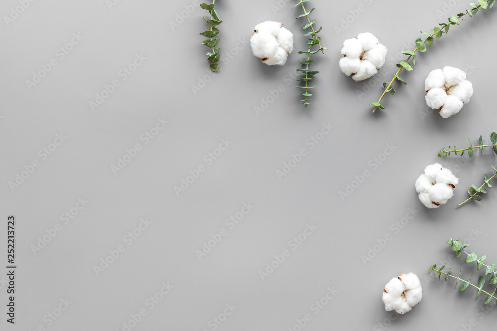 Flowers and leaves layout. Cotton near eucalyptus branches on grey background top view, flat lay spa