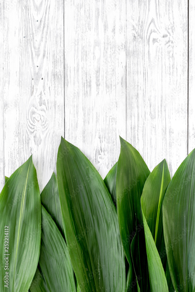 Bright spring green leaves on white wooden background top view copy space border