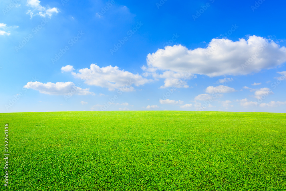 Green grass and blue sky with white clouds