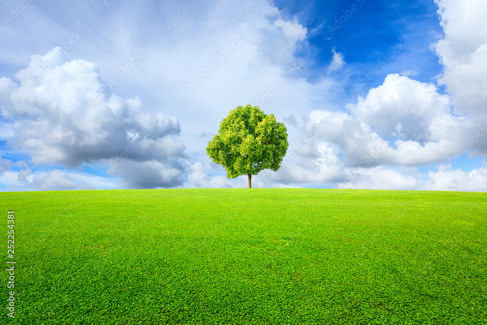 Green tree and grass field with white clouds