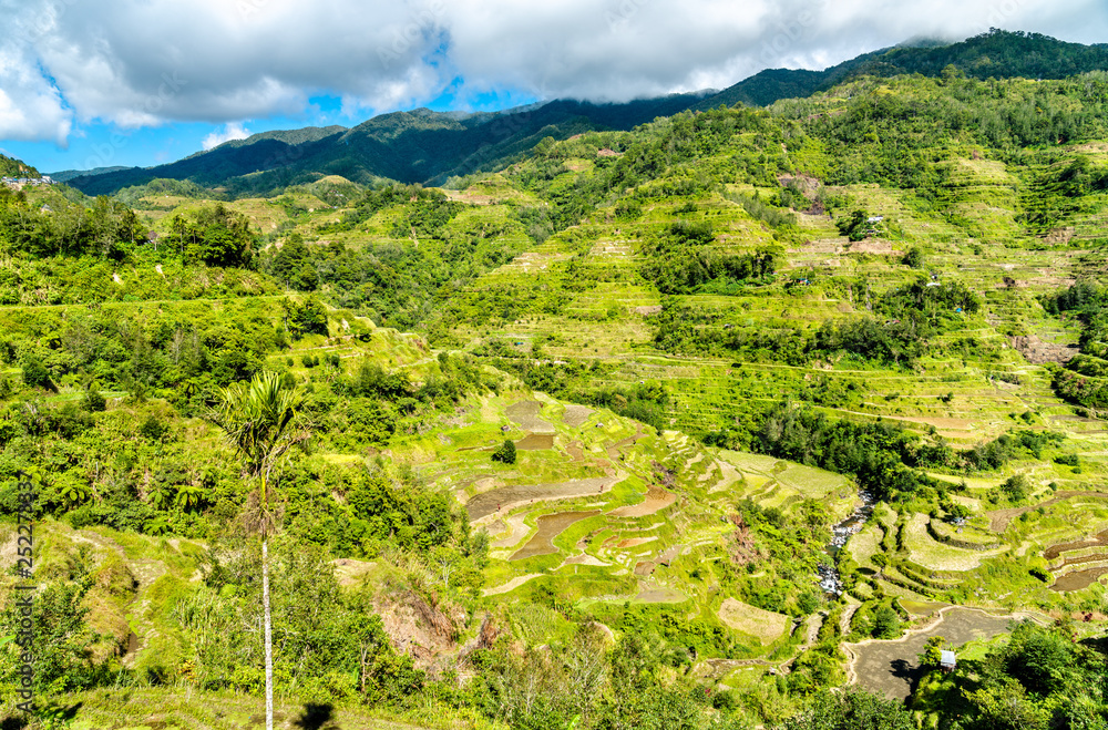 Banaue Rice Terraces-吕宋北部，联合国教科文组织菲律宾世界遗产。