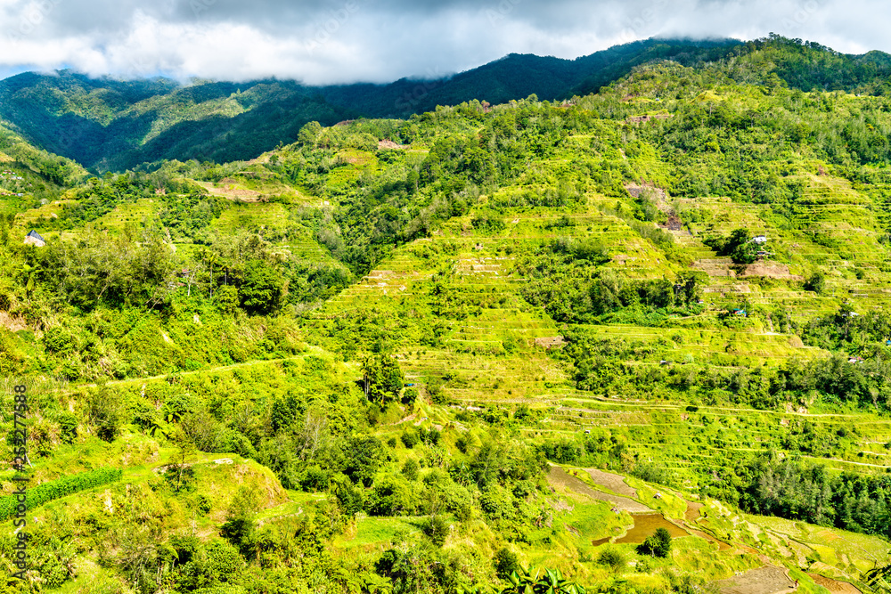 Banaue Rice Terraces-吕宋岛北部，联合国教科文组织菲律宾世界遗产。