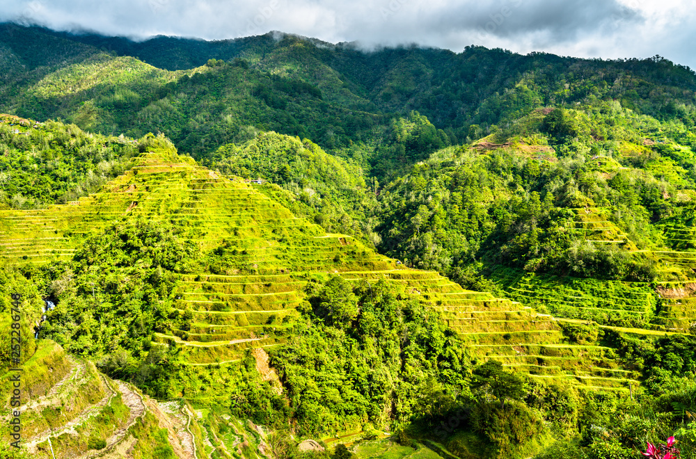 Banaue Rice Terraces-吕宋北部，联合国教科文组织菲律宾世界遗产。