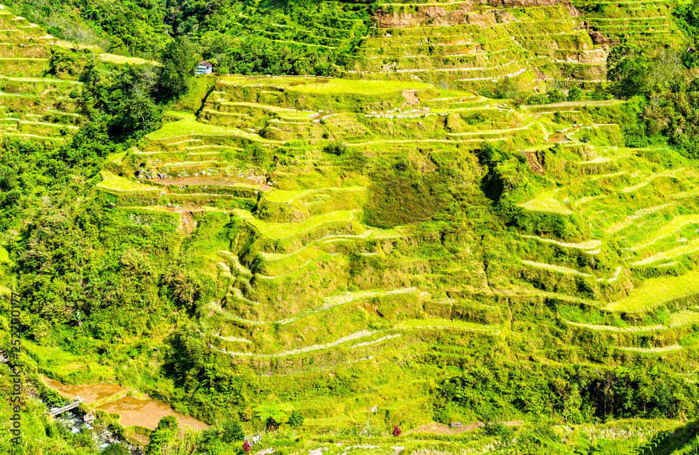 Banaue Rice Terraces-吕宋北部，联合国教科文组织菲律宾世界遗产。