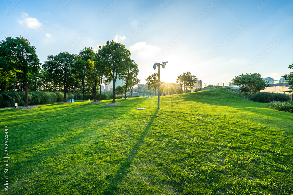 park in city