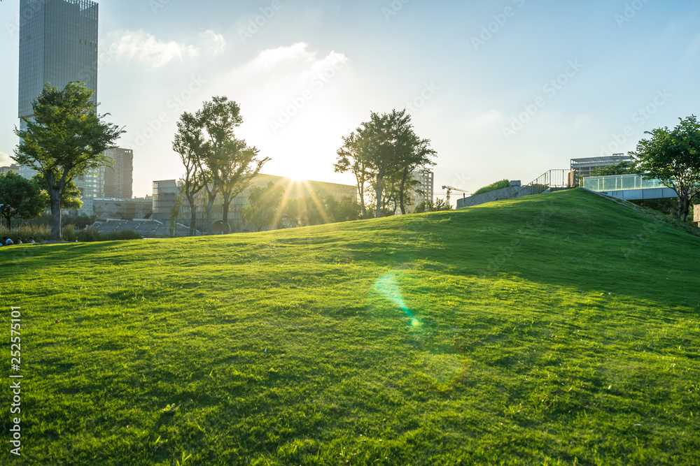 夏日公园