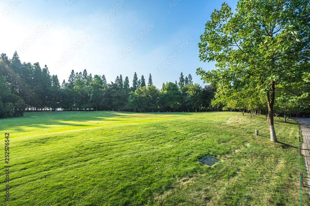 green landscape