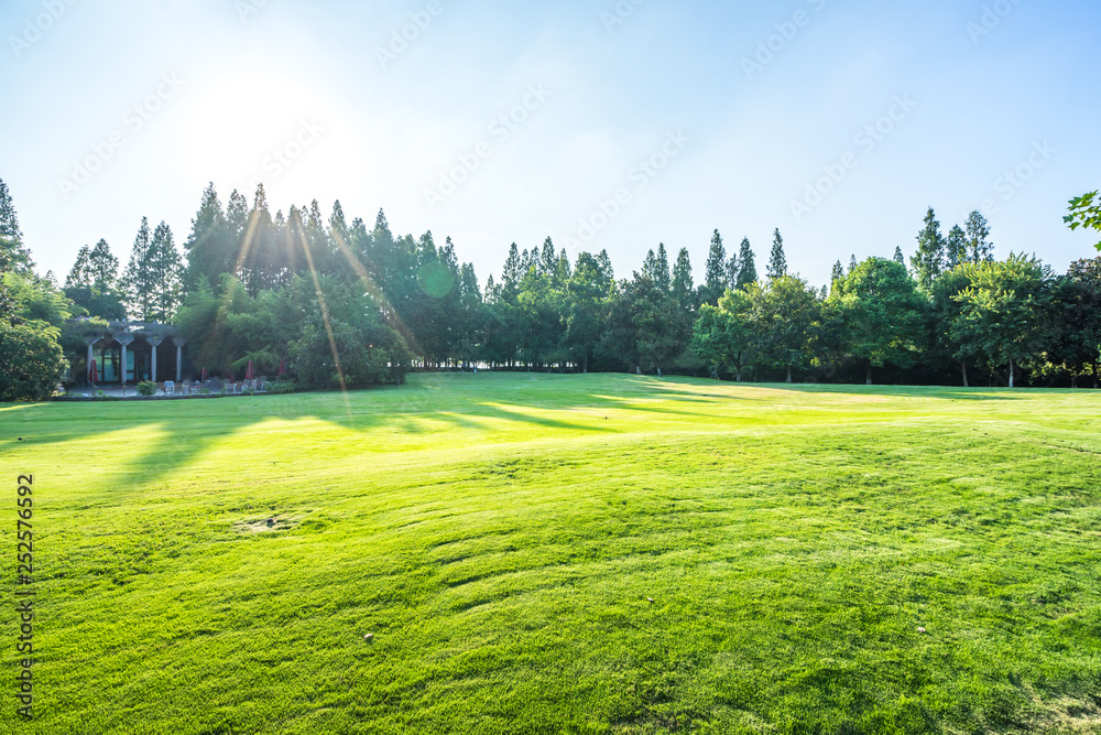 green landscape