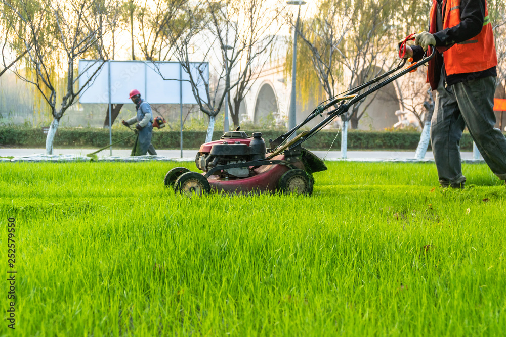 man mowing the lawn