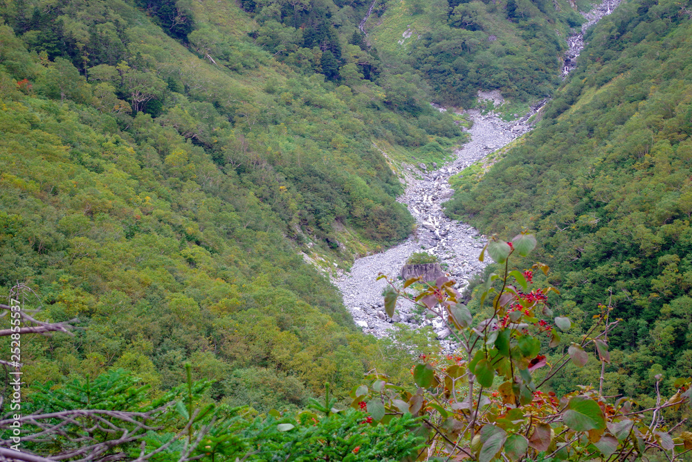 山の風景