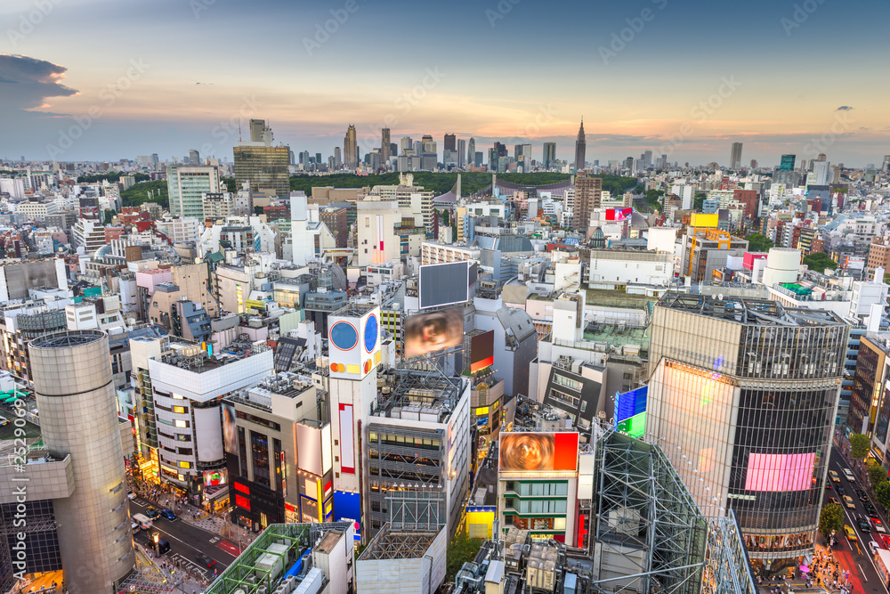 日本东京，涩谷区上空的城市天际线，远处是新宿区的天际线。