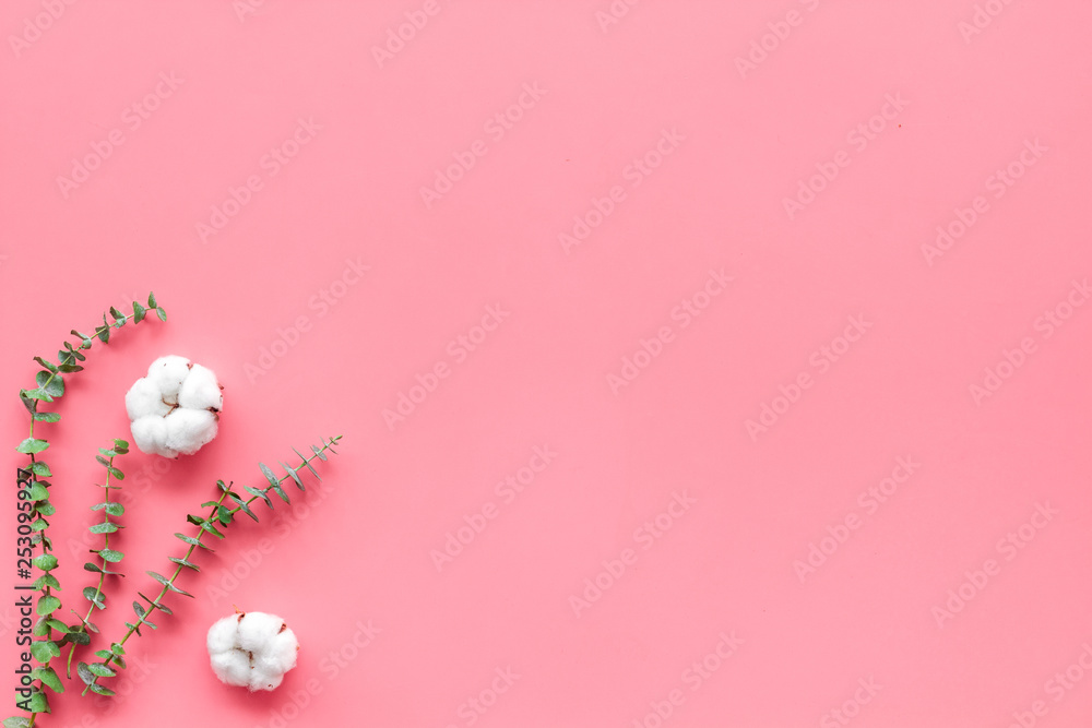 Natural flowers composition with eucalyptus branches and cotton flowers on pink background top view,