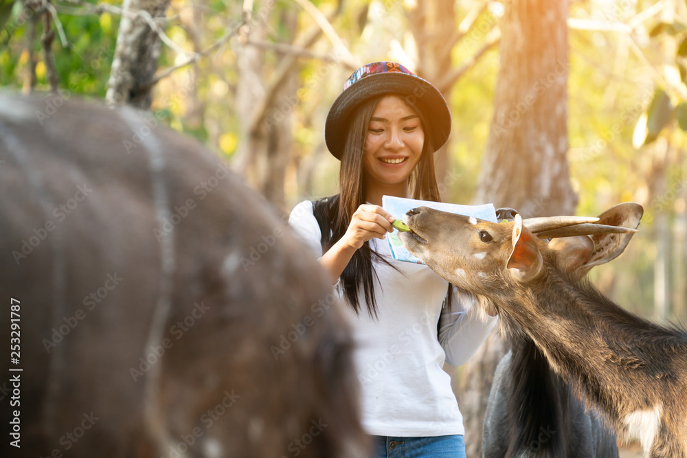 快乐的女人在动物园里观看和喂养动物