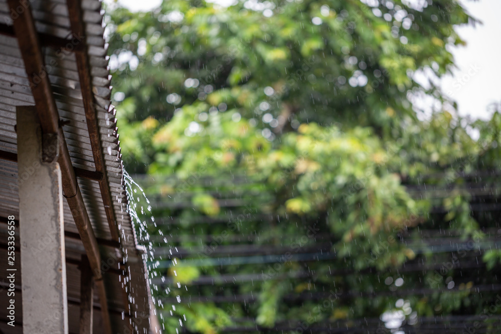 雨水落在以树木为背景的锌屋顶上。