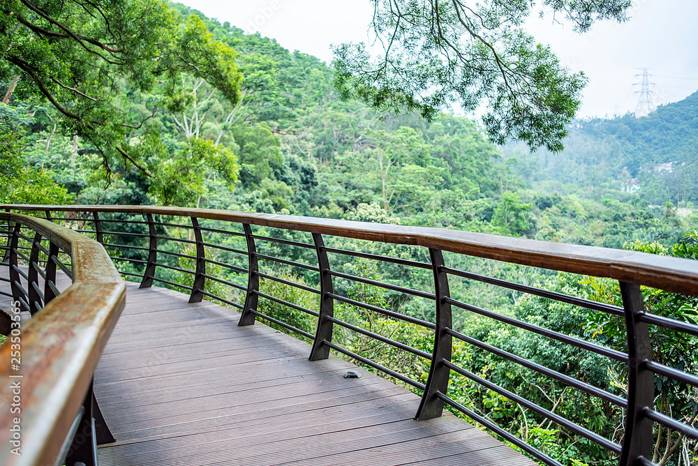 深圳仙湖植物园风景