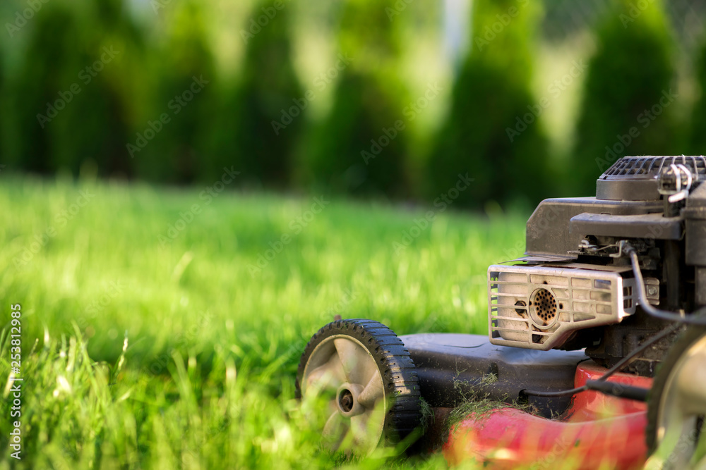 Lawn mower cutting green grass