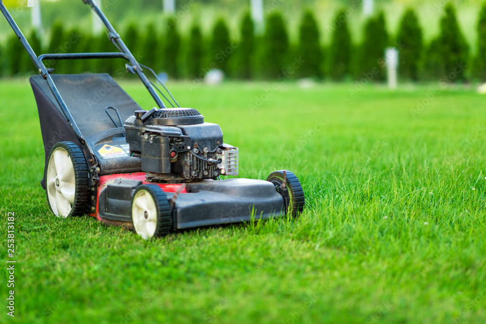 Lawn mower cutting green grass