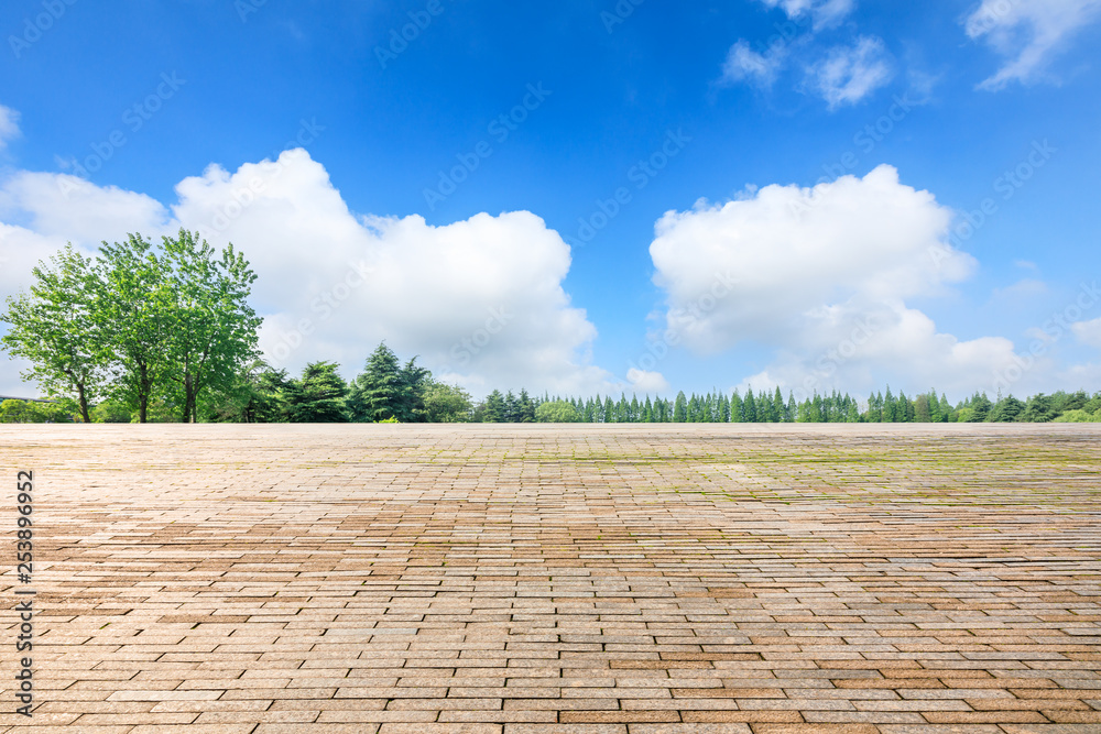 城市公园里空旷的广场层和绿色的森林