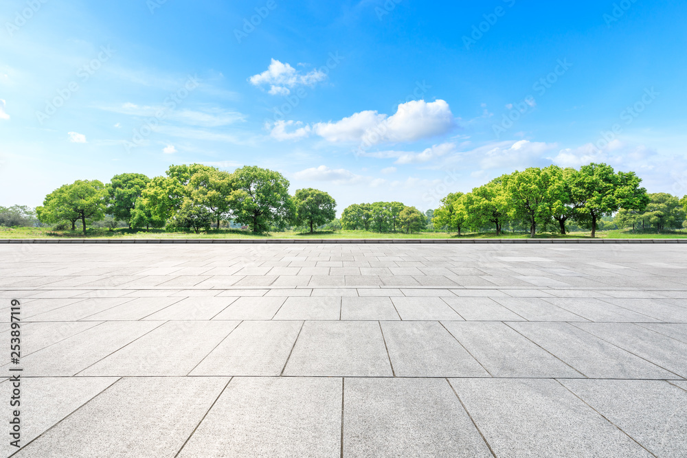 城市公园里空旷的广场层和绿色的森林