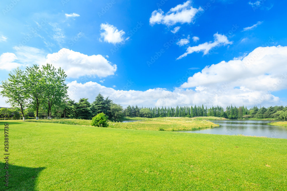 Green grass and forest landscape in city park