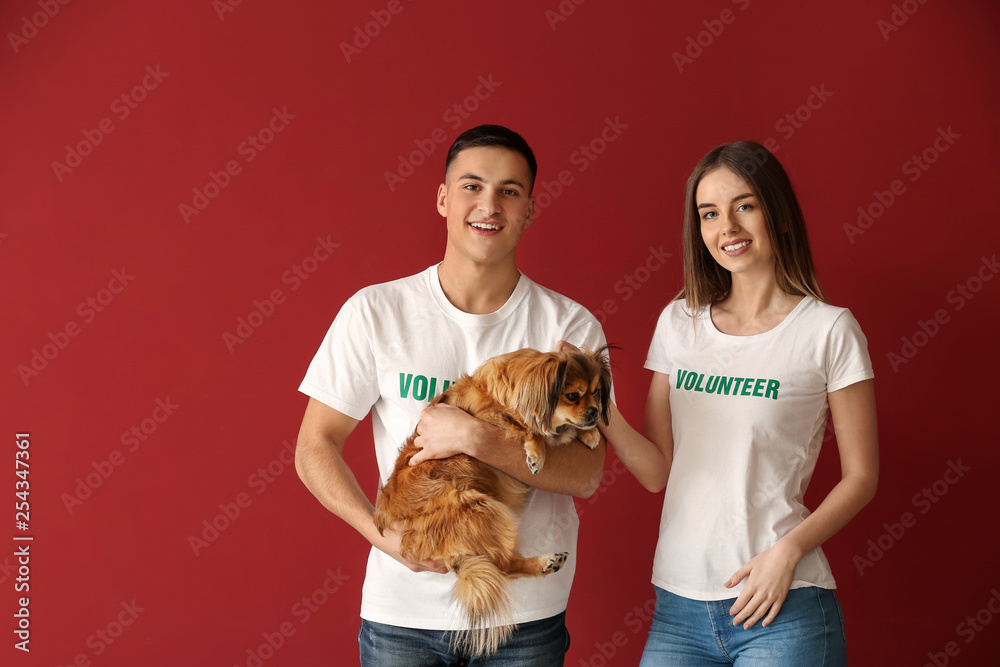 Young volunteers with dog on color background