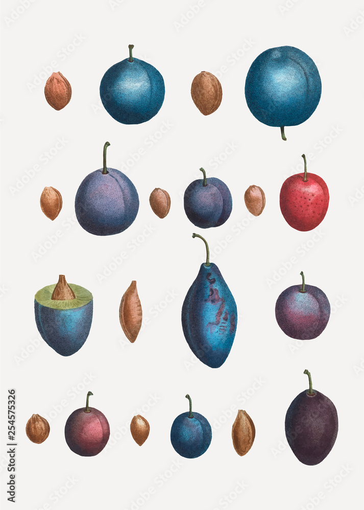 Various plum types