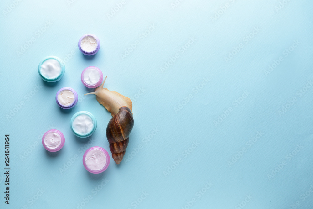 Giant Achatina snail and cosmetics on color background