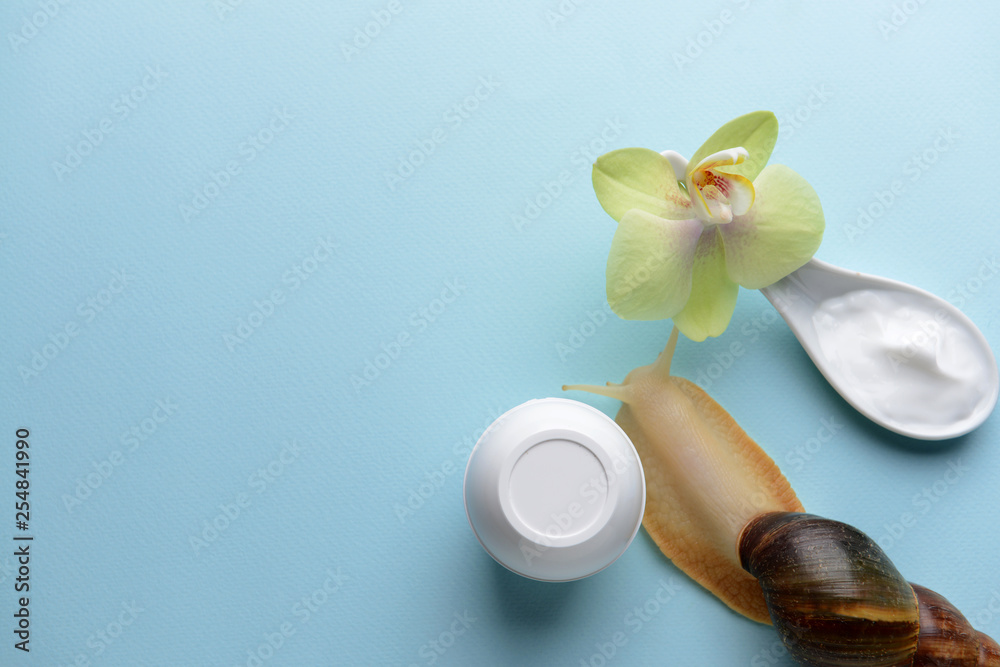 Giant Achatina snail and cosmetics on color background