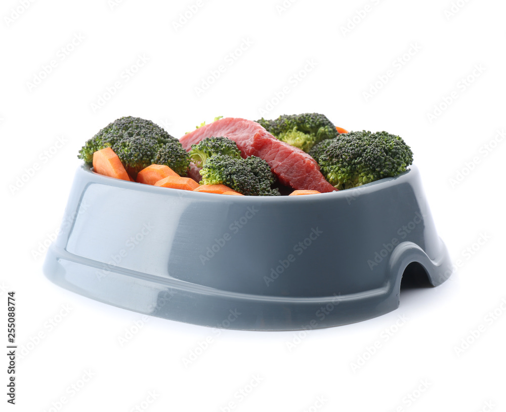 Pet bowl with fresh products on white background