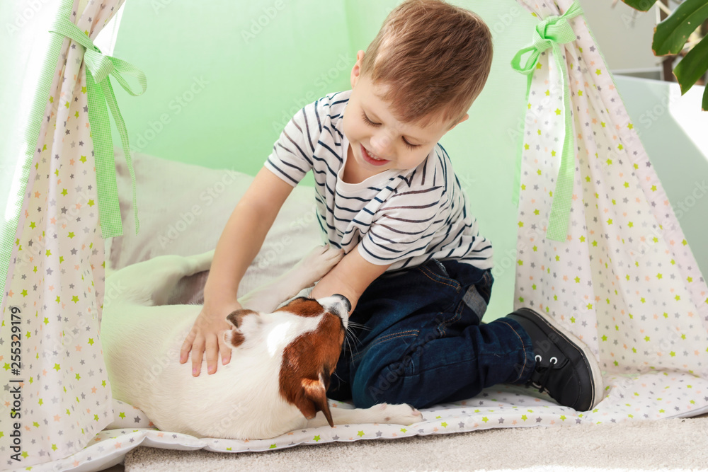 Cute little boy playing with funny dog at home