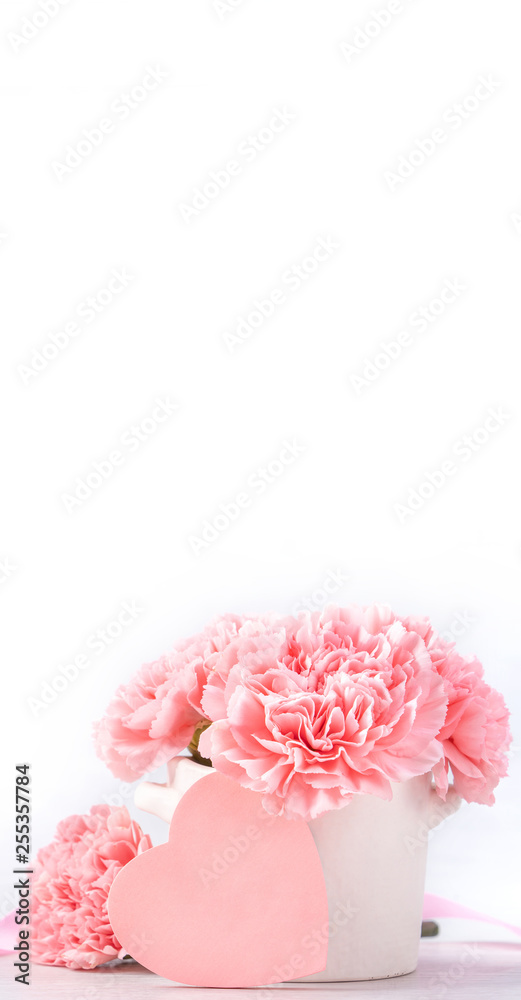 Beautiful blooming baby pink tender carnations in a white vase isolated on bright background, may mo