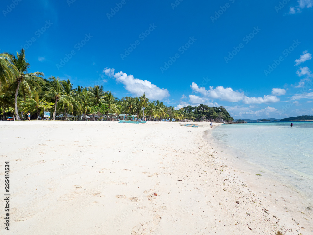 View of tropical beach on the island Malcapuya. Beautiful tropical island with sand beach, palm tree