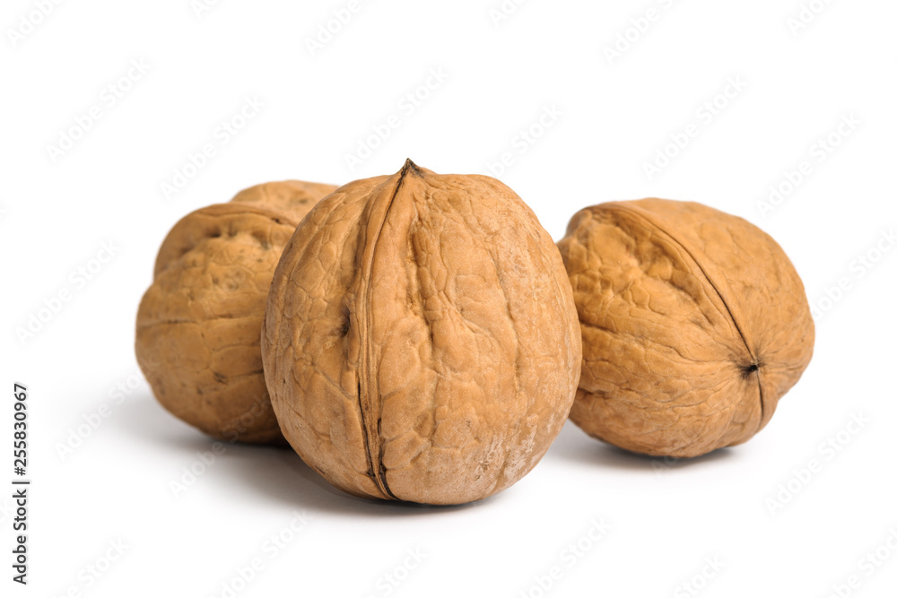 Group of walnuts in shell isolated on white background