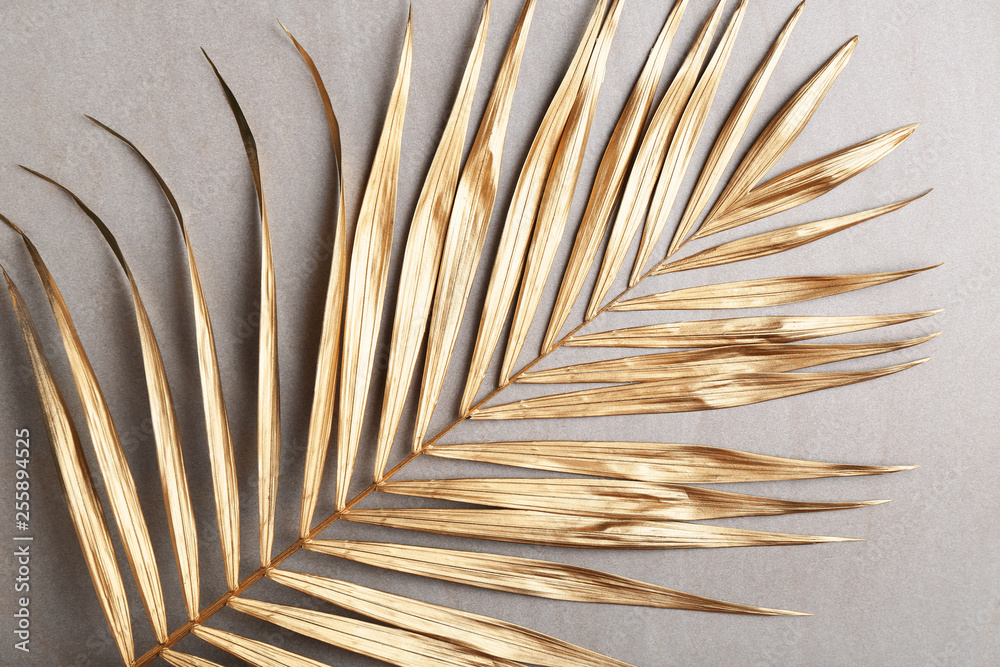 Golden tropical leaf on light background