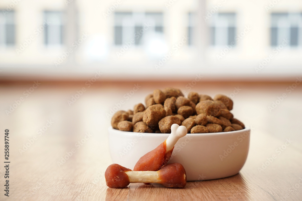 Bowl with dry pet food on floor