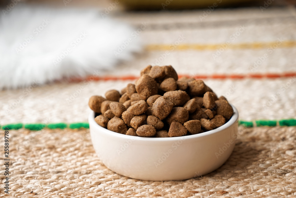 Bowl with dry pet food on floor