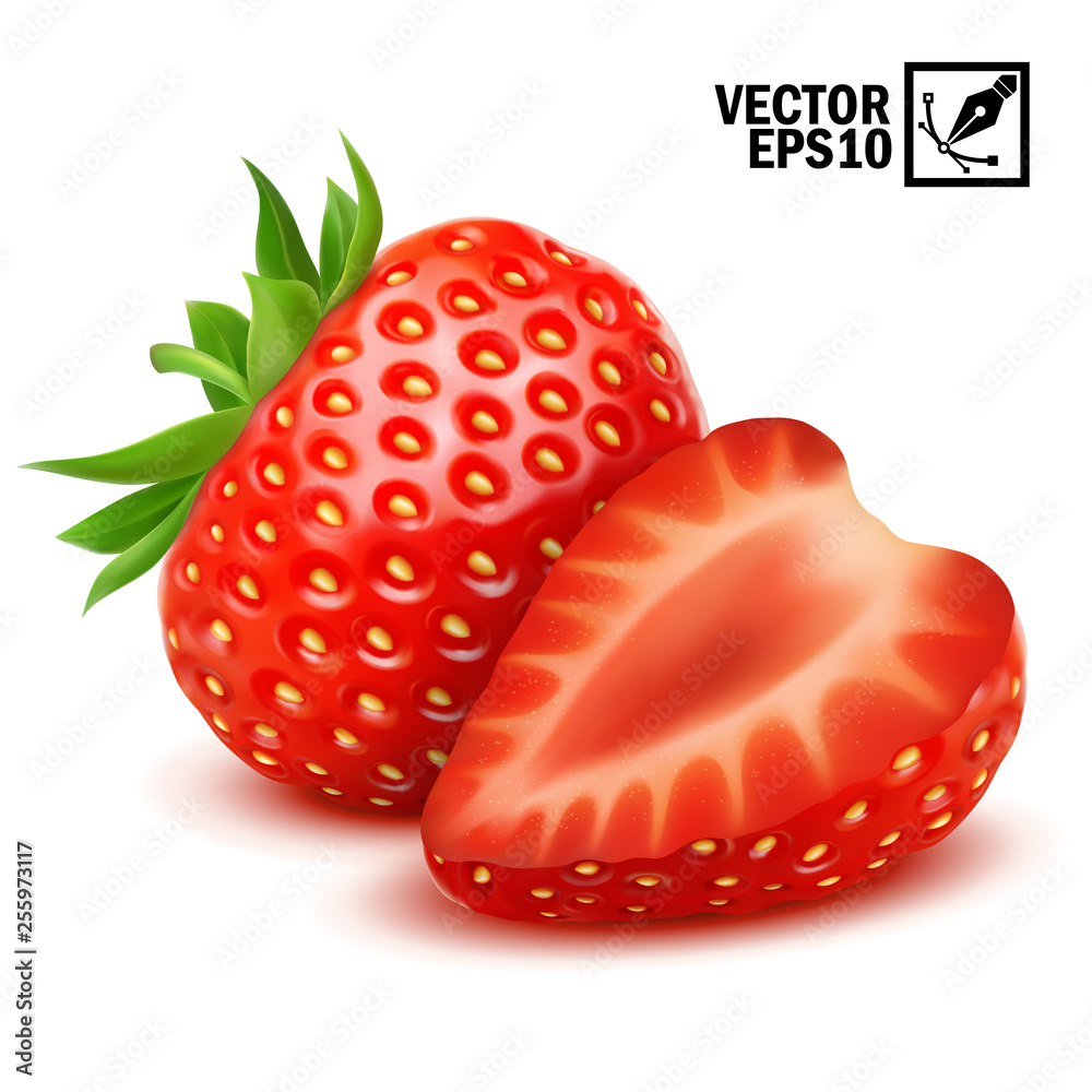 3d realistic isolated vector whole and slice of strawberry, editable handmade mesh