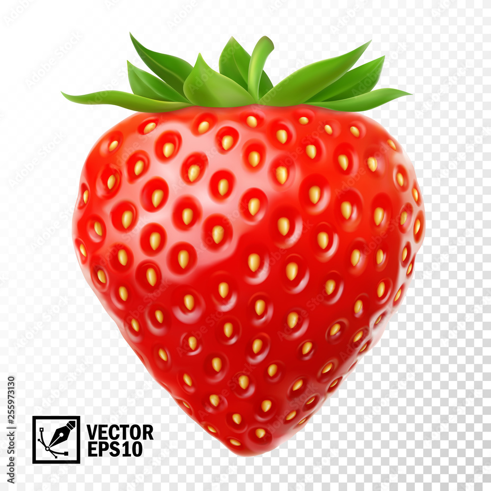 3D realistic isolated vector strawberry, editable handmade mesh