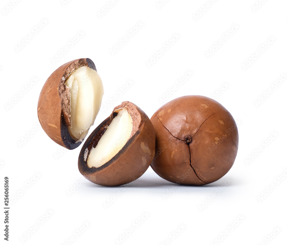 Two macadamia nut close up, isolated on a white background