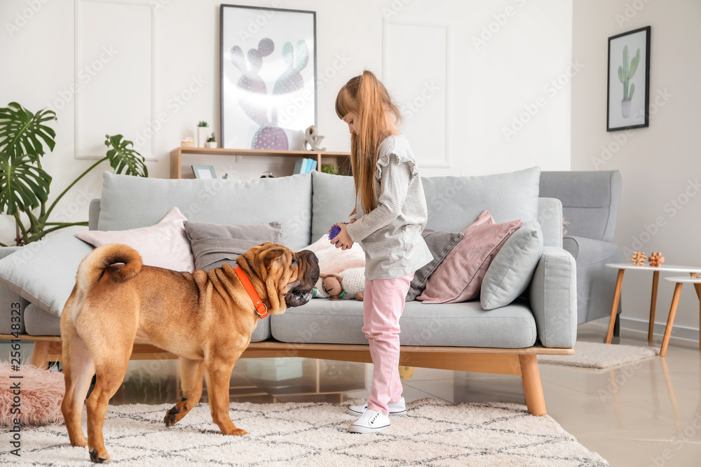 Cute little girl playing with funny dog at home