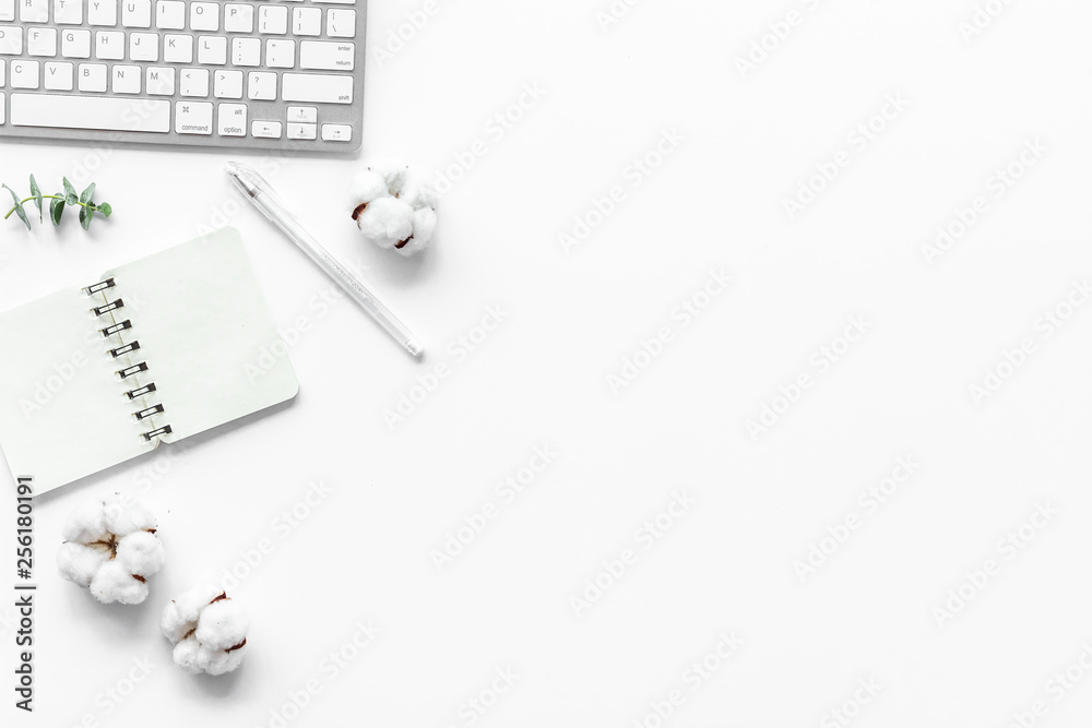 Laptop, cotton branch on white table flat lay space for text. Minimal freelancer desk workspace. Blo