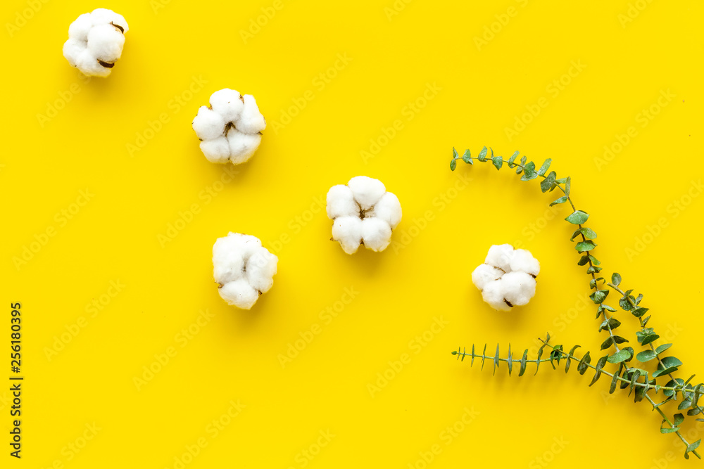 Natural flowers composition with eucalyptus branches and cotton on yellow background top view, flat 