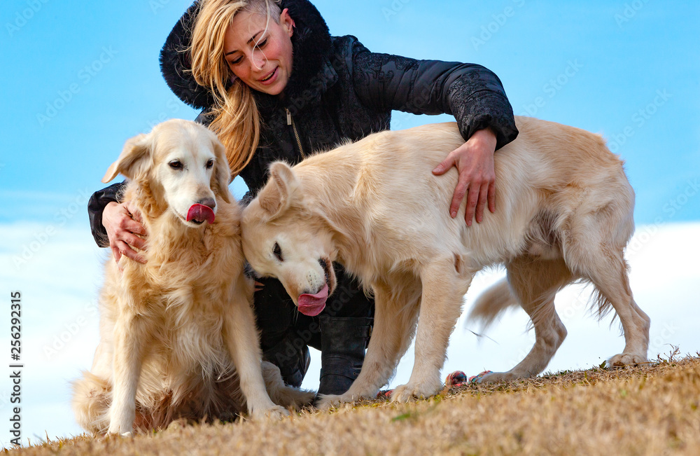 Perros graciosos。金毛寻回犬。Mujer joven y sus mascotas pasando un rato diversido al aire lib