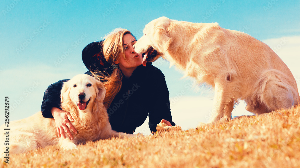 Perros graciosos。金毛寻回犬。Mujer joven y sus mascotas pasando un rato diversido al aire lib