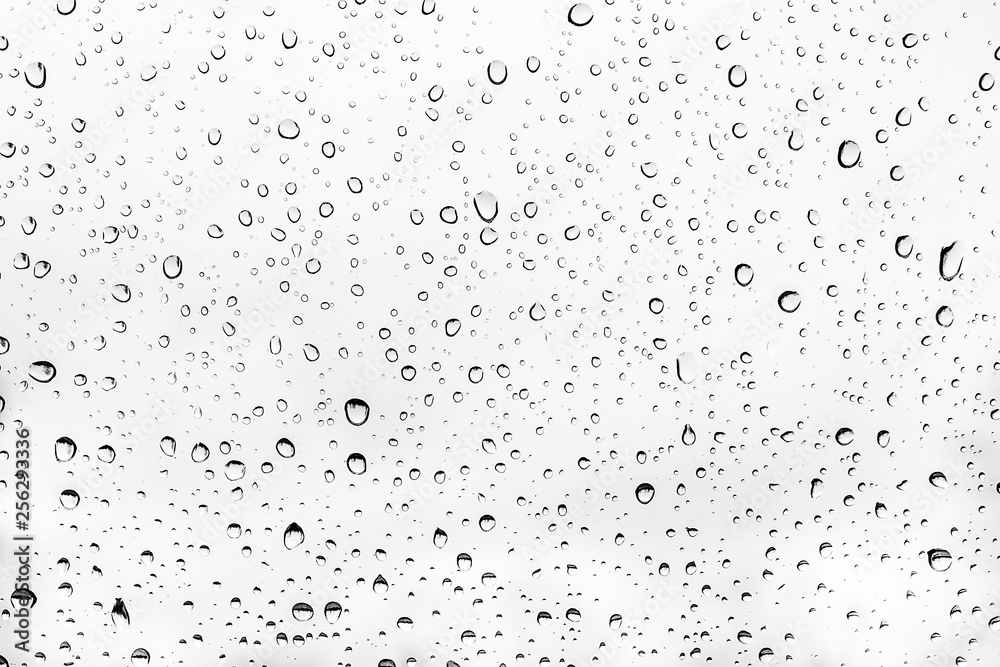 Water drops on sheer glass. Rain drops on white background. Black and white photograph of wet glass 