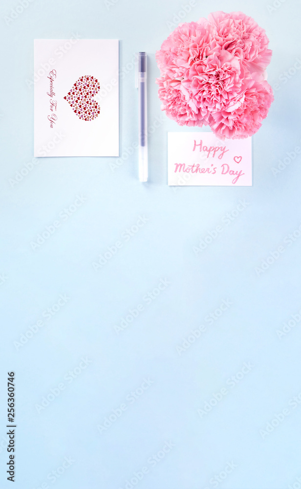 Beautiful fresh blooming baby pink color tender carnations isolated on bright blue background, mothe